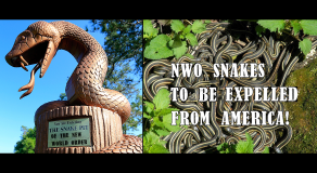 nwo-snakes-expelled